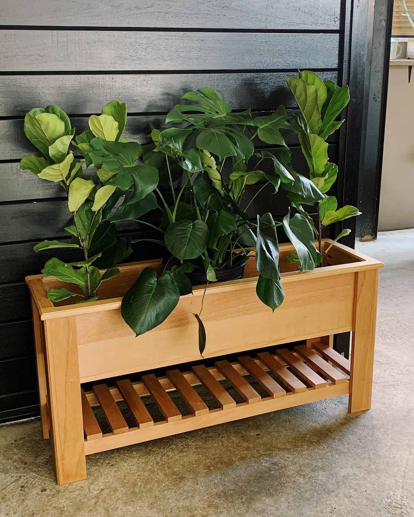 Rustic wooden crates with colorful potted plants