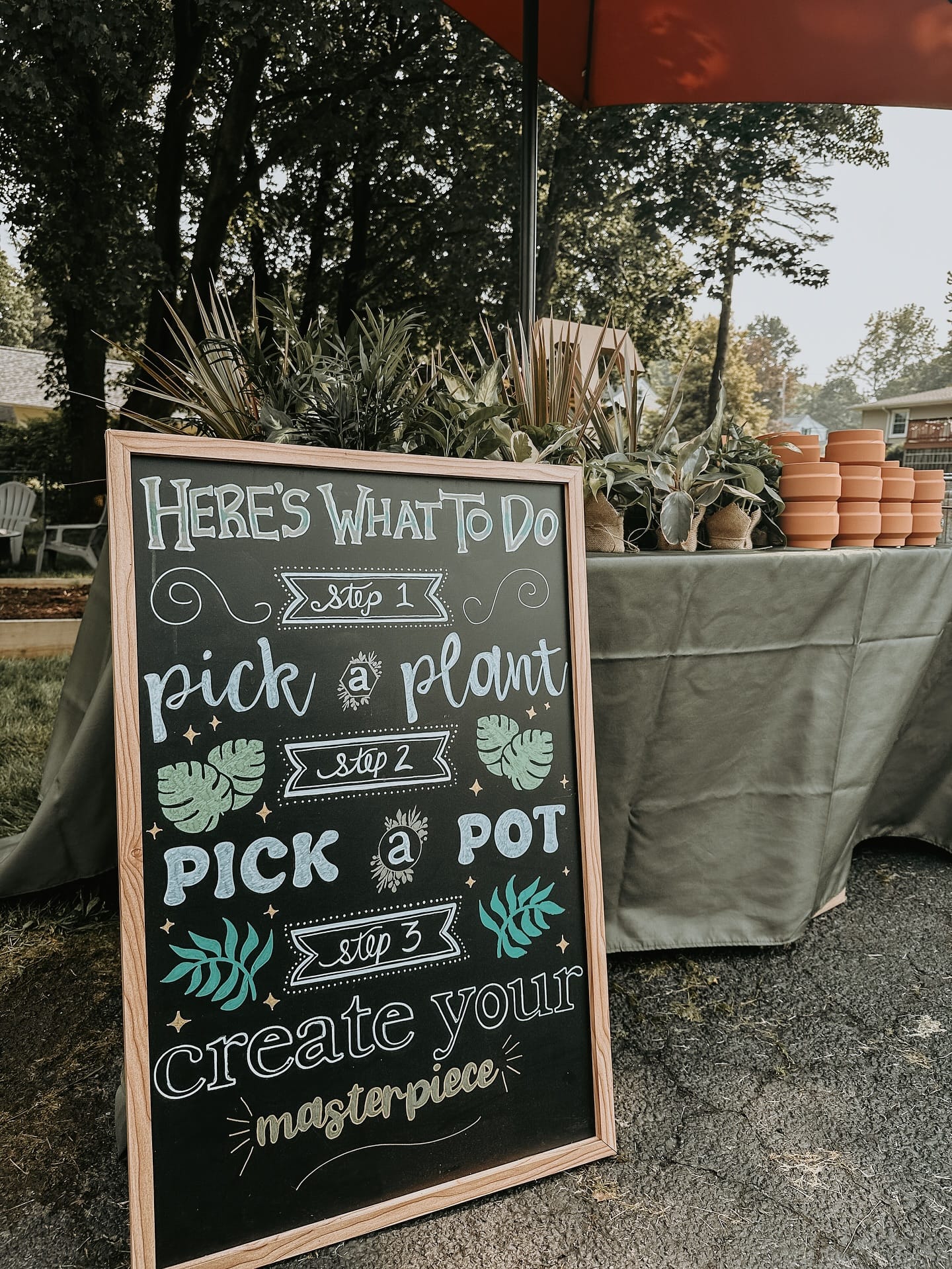 Simple black and white succulent display