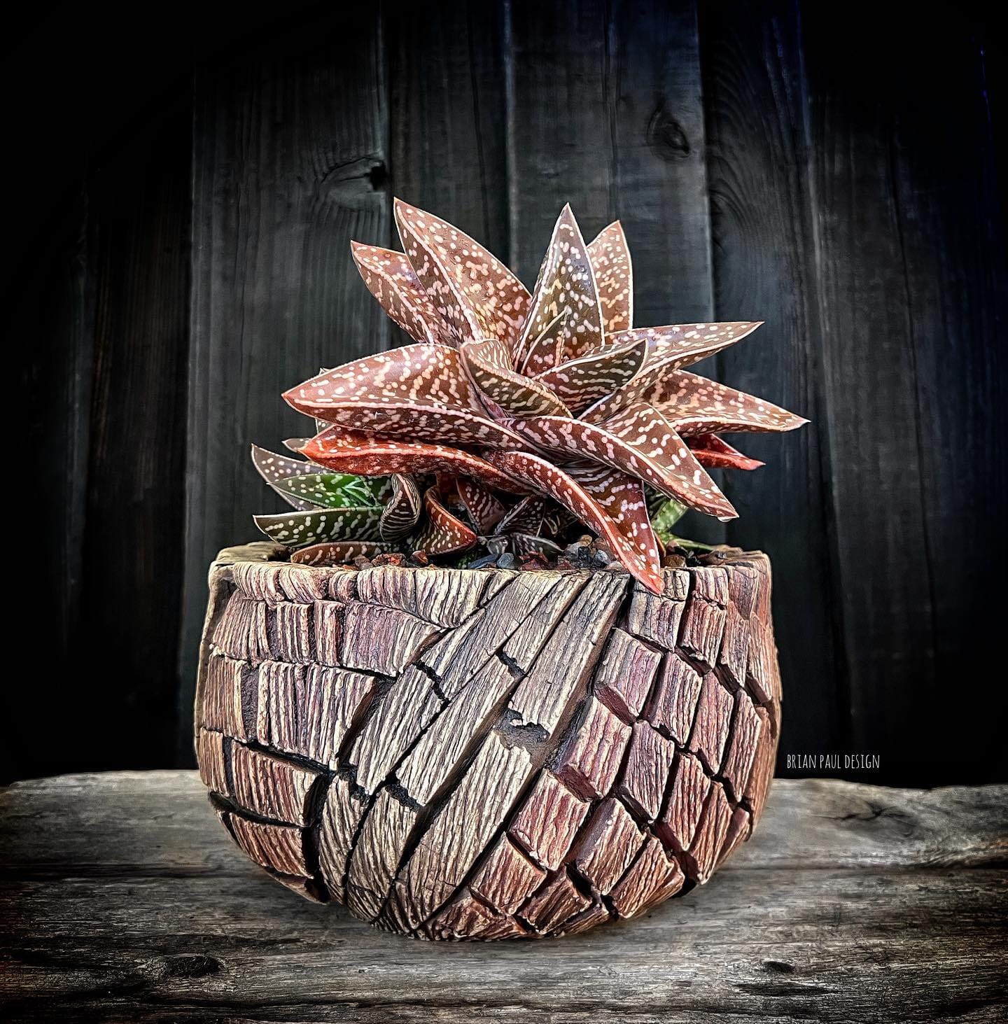 driftwood and ceramic planter on seaside porch