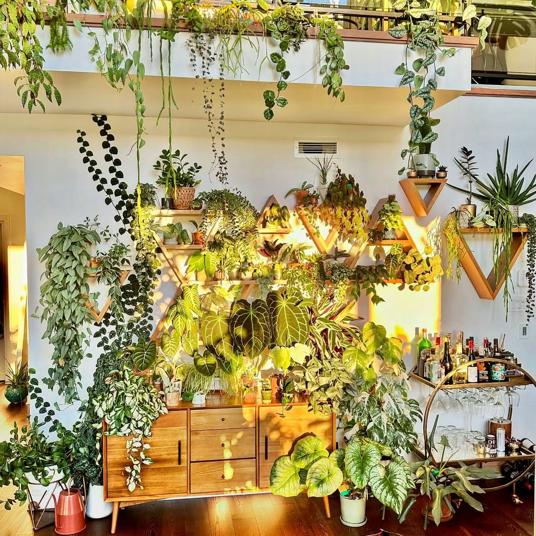 Candlelit table with potted plants