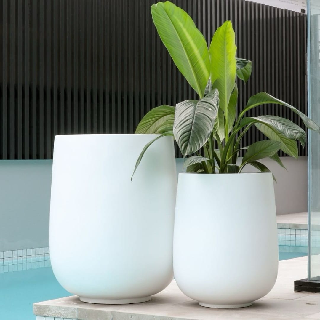 fiberstone pot with palm