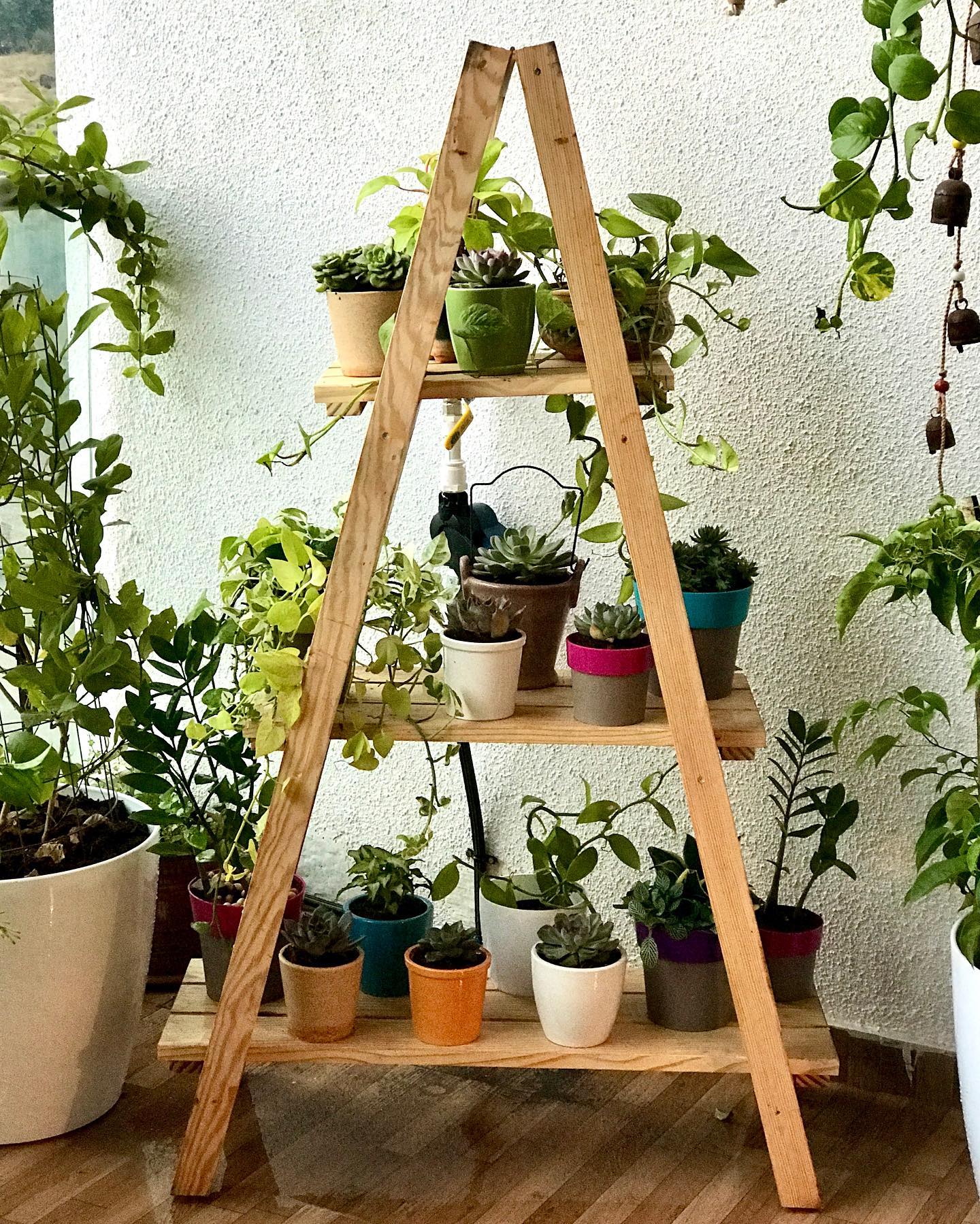 Modern metal plant stand with ferns