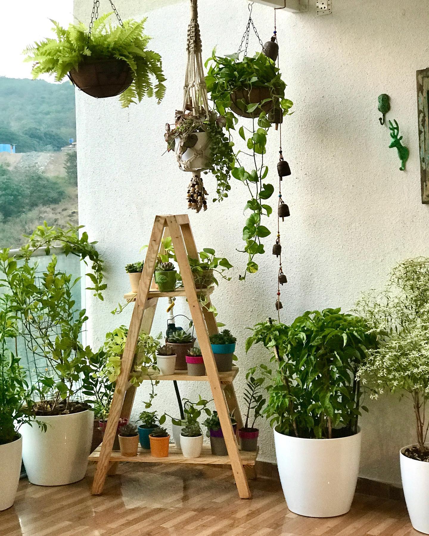 tiered plant stand with herbs