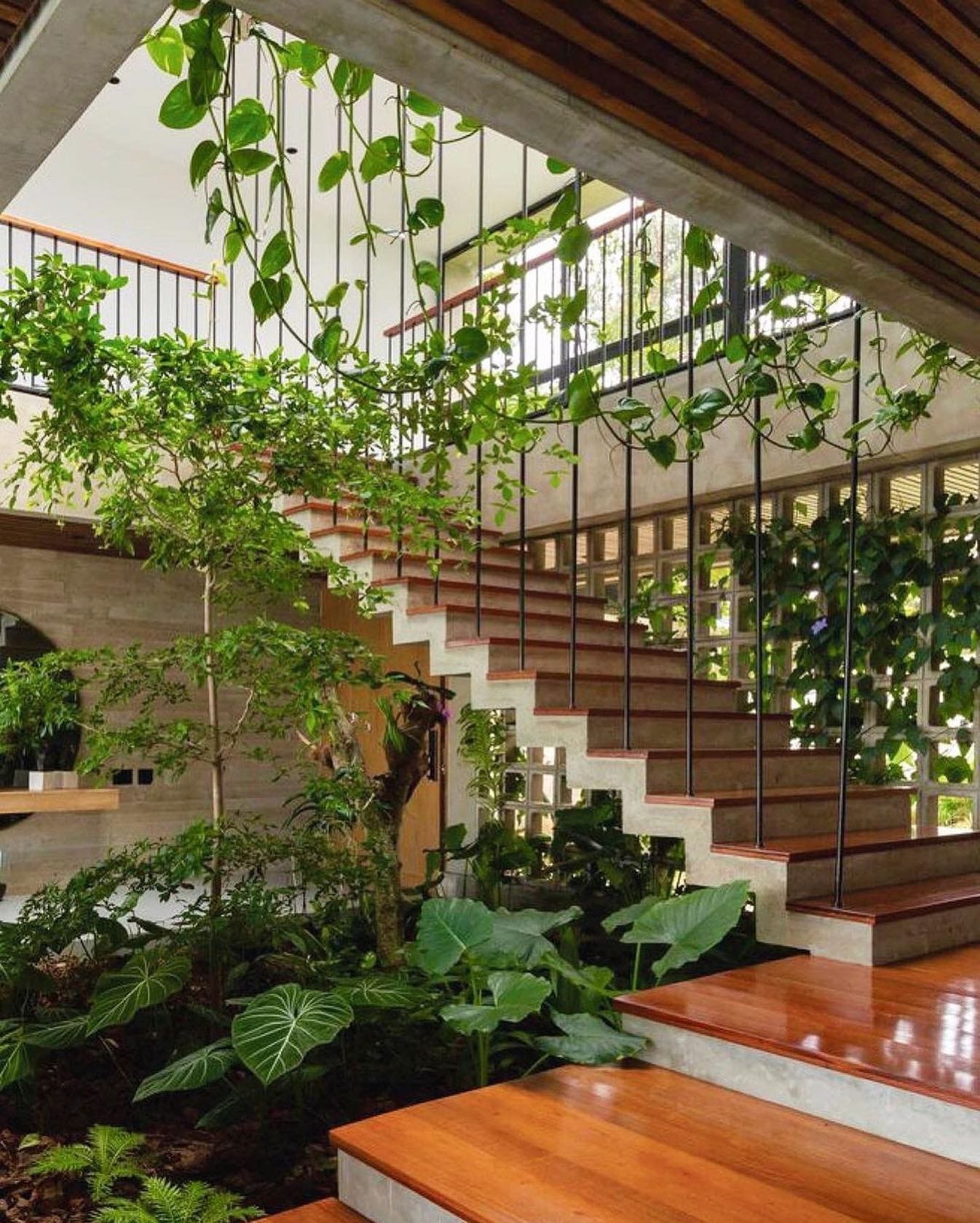 Artistic staircase with wooden crate plant holders