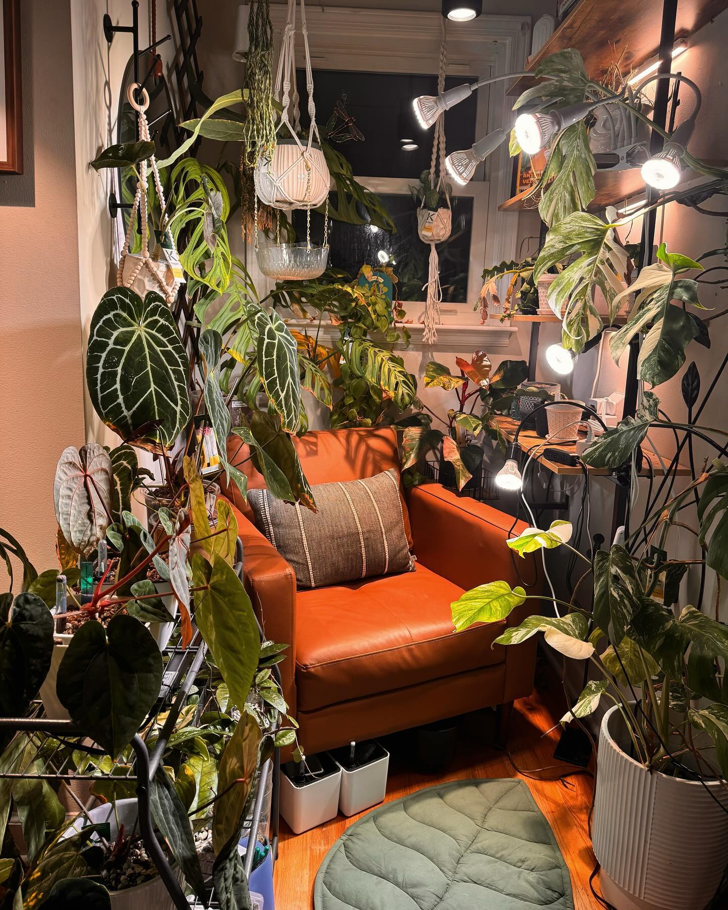 Indoor jungle-themed reading nook with plants