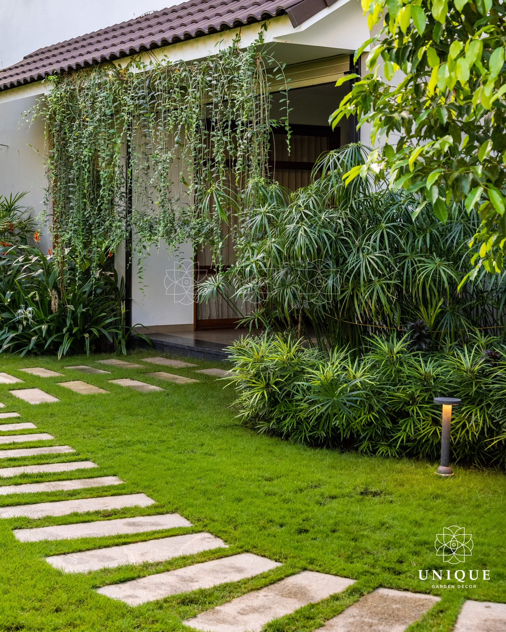 Trailing ivy on white trellis