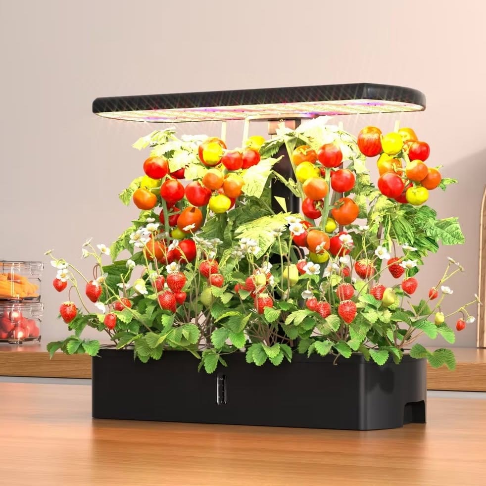 countertop hydroponic garden
