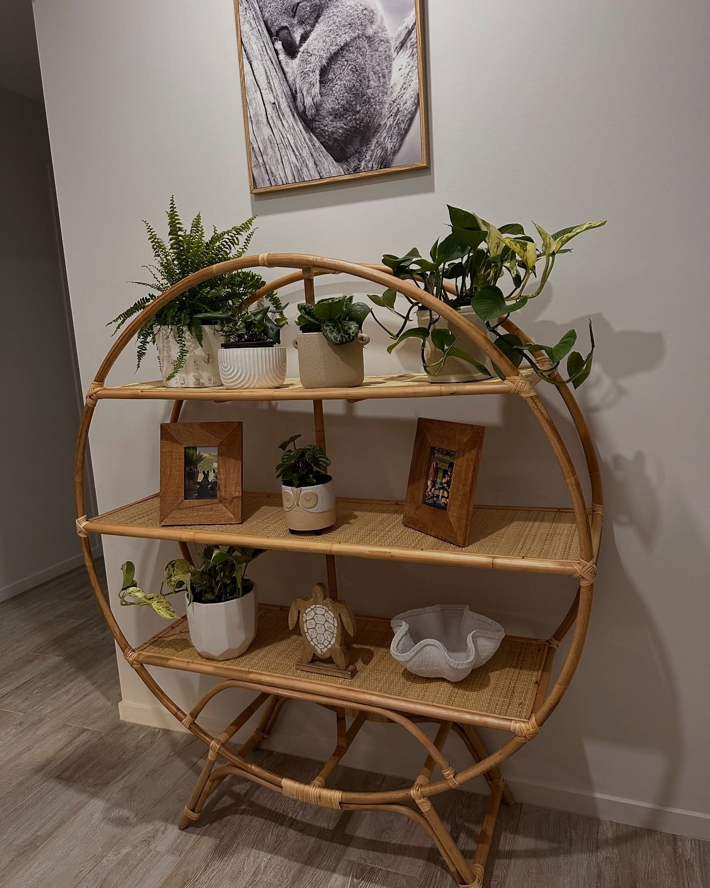 Functional greenhouse shelving with wooden crates