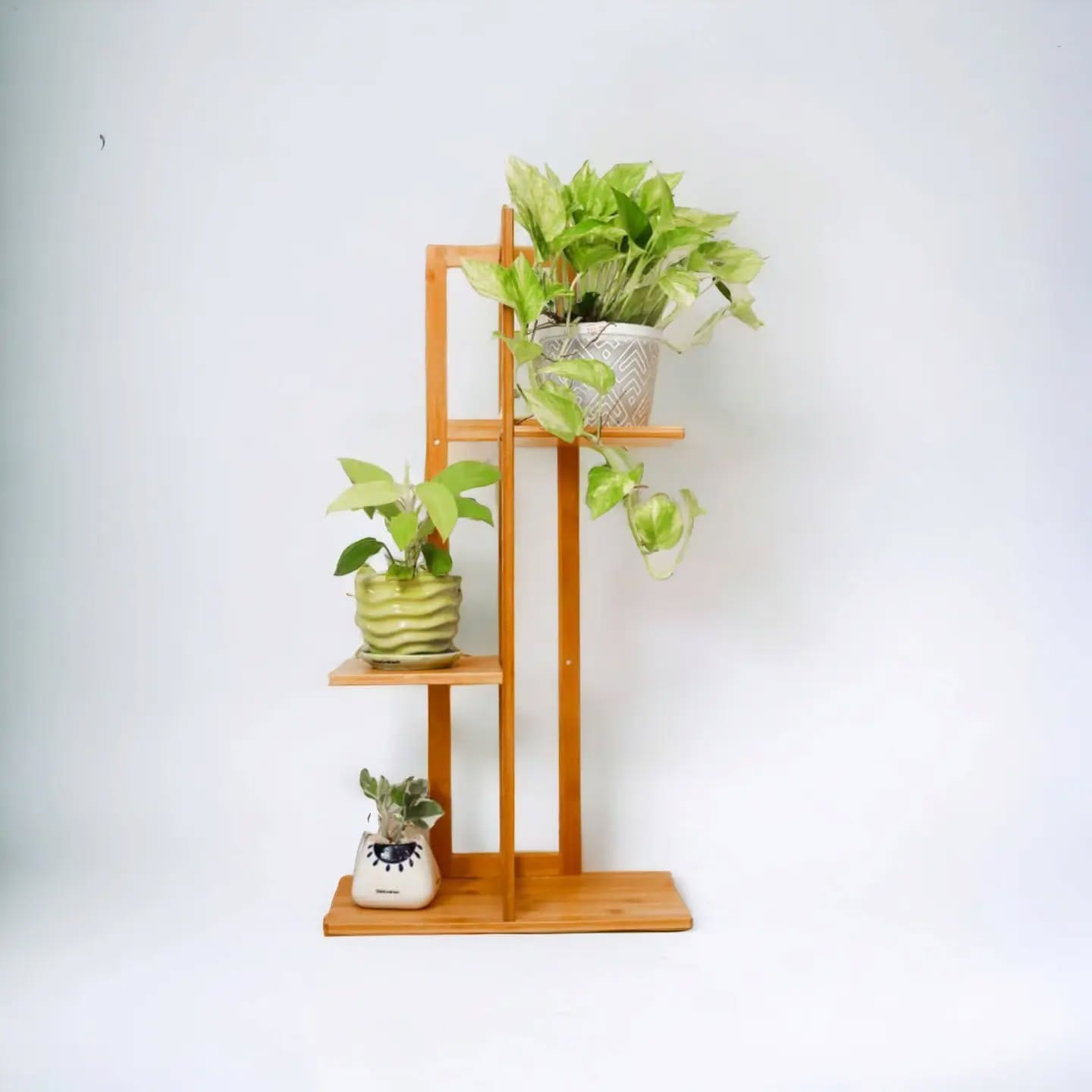 wooden ladder with plants