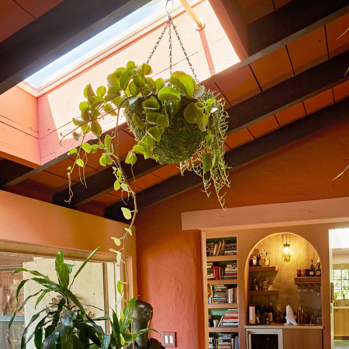 skylight with plants beneath