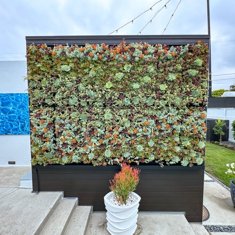 living wall with fiber optic lighting