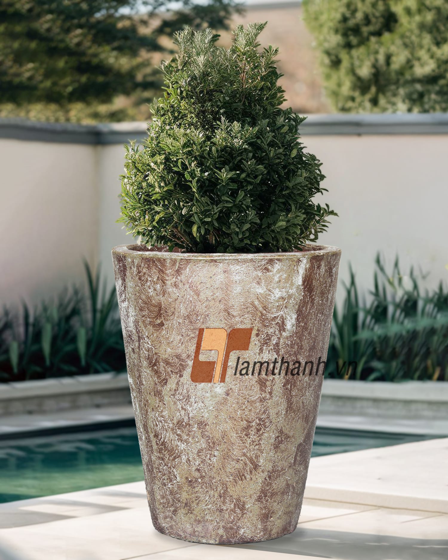 minimalist concrete planter on windowsill