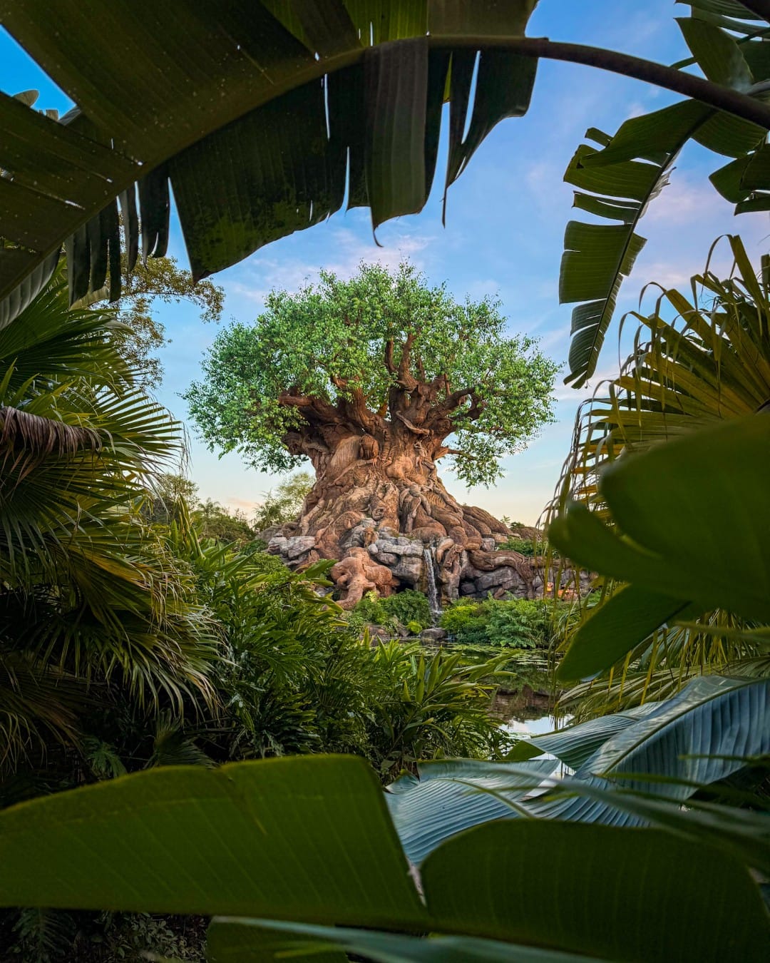 tropical paradise plant display