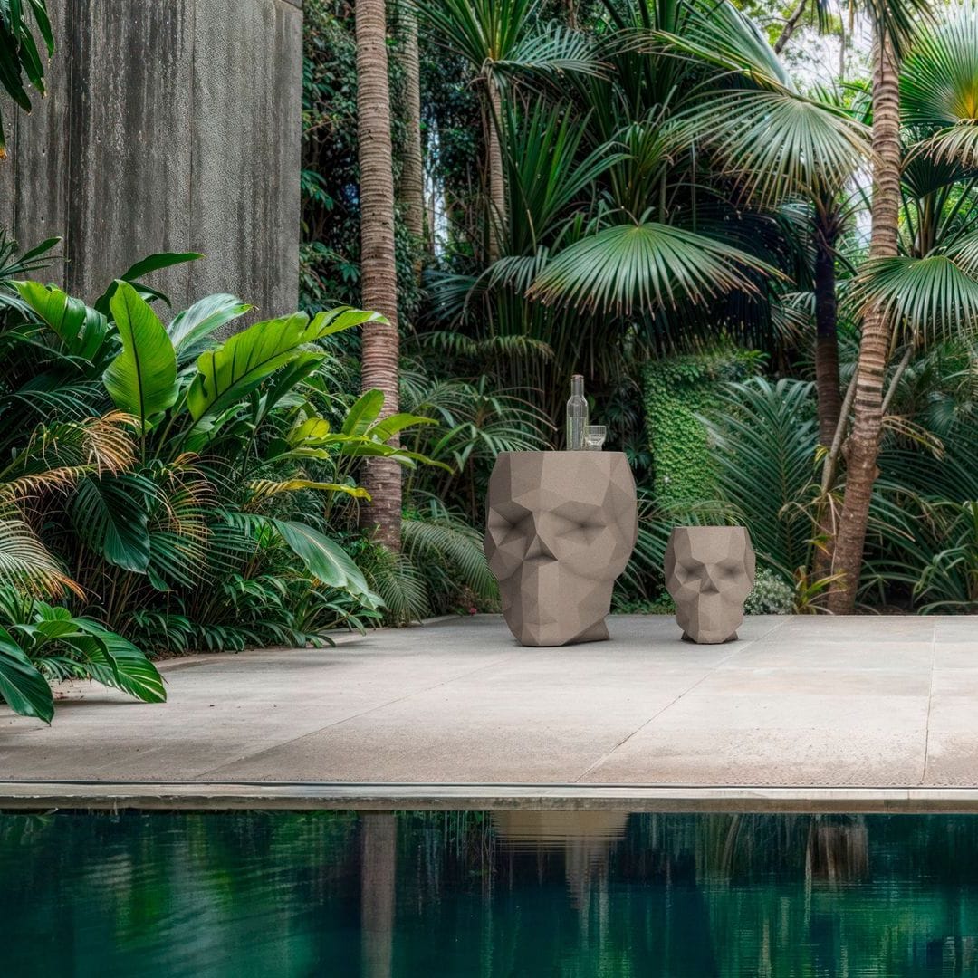 Agave and maidenhair fern