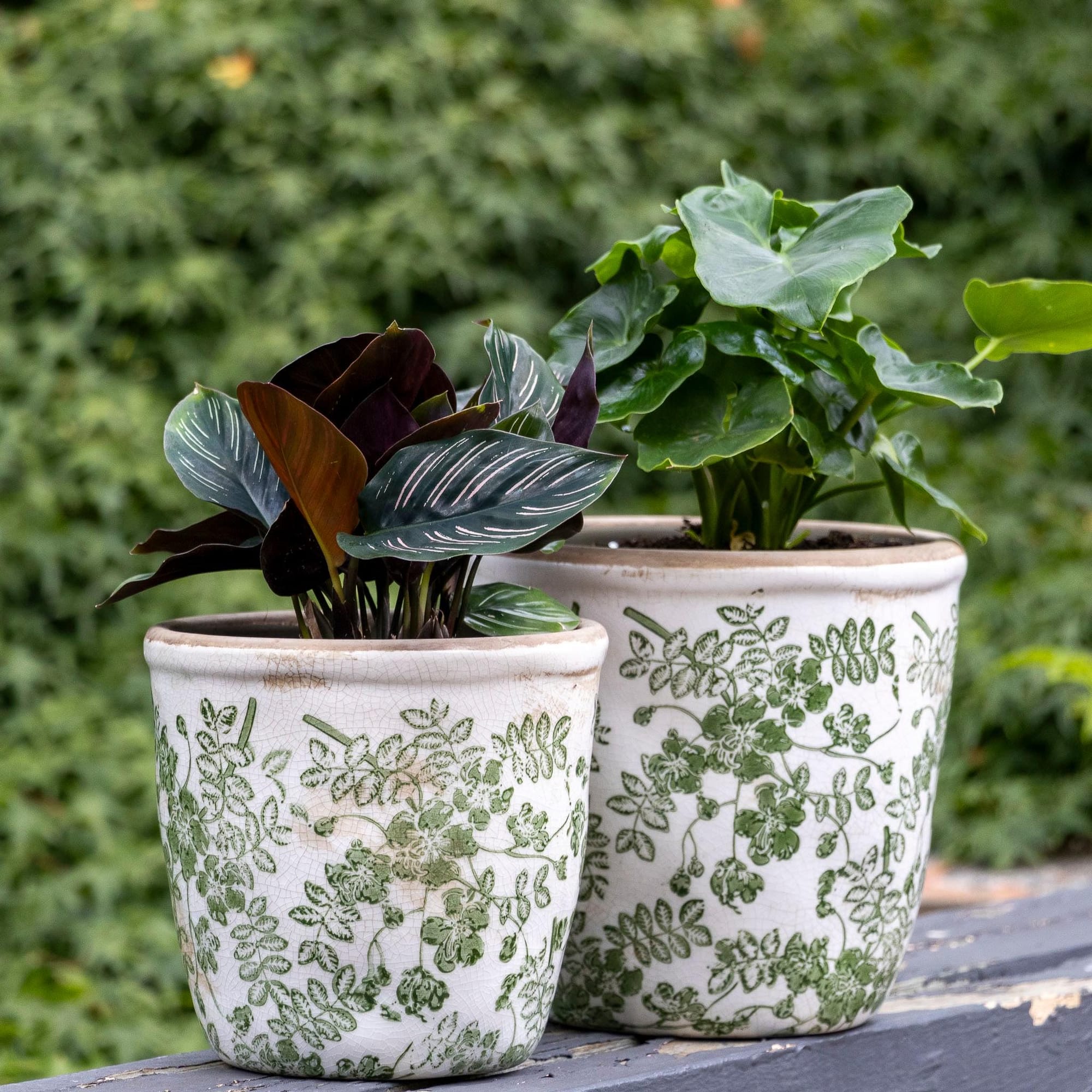 ceramic herb pots on kitchen windowsill