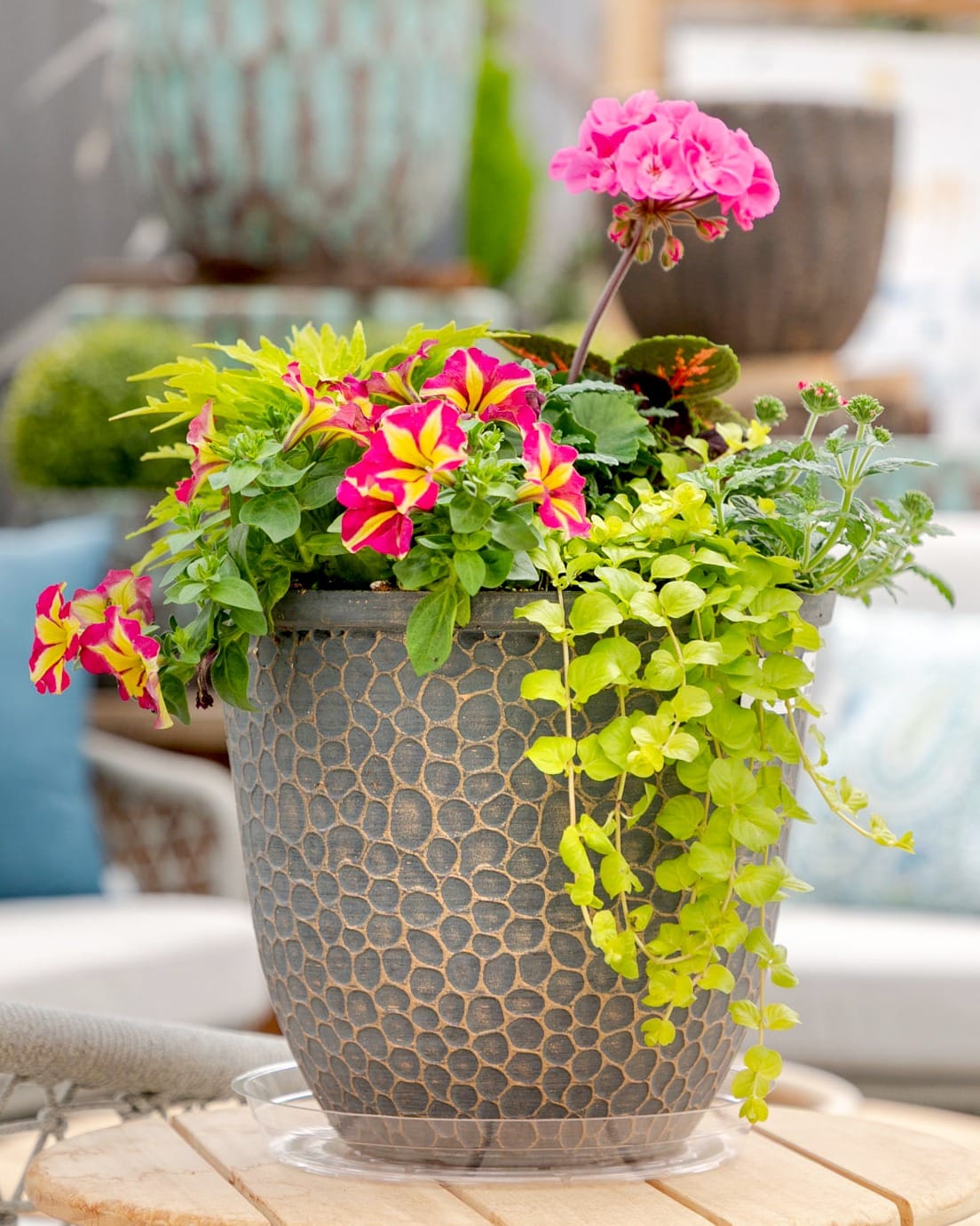 bright ceramic plant pots