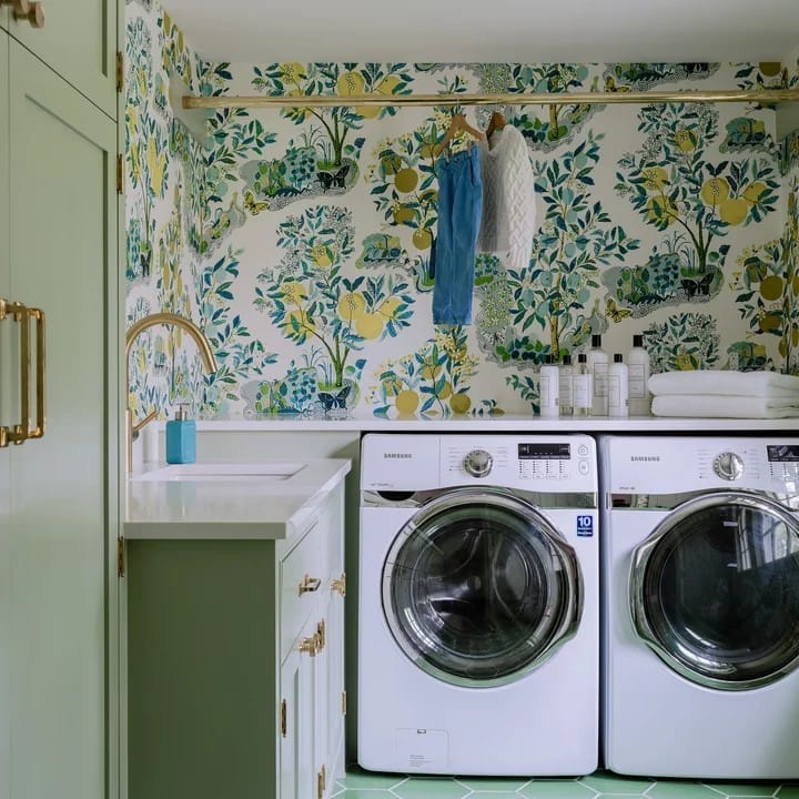 dracaena plant against white wall