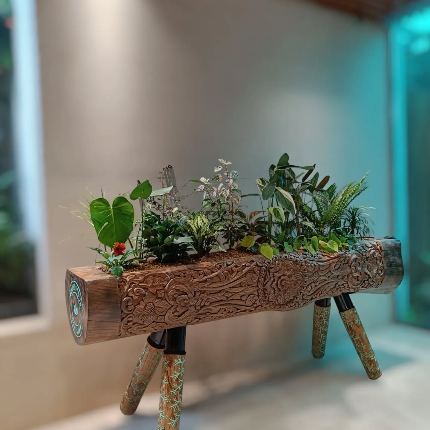 Repurposed dresser with plant-filled drawers