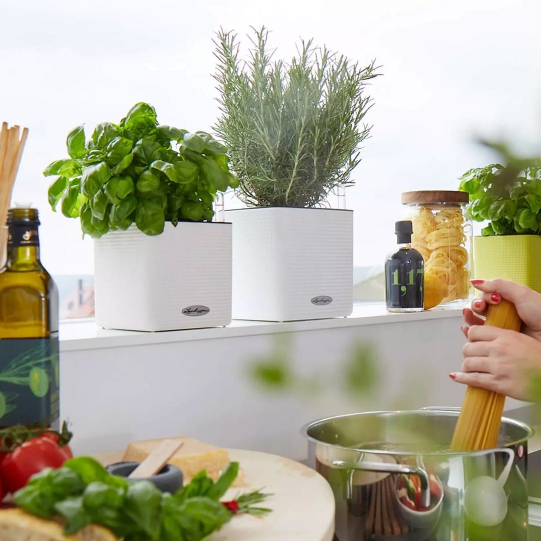 herb window box on island