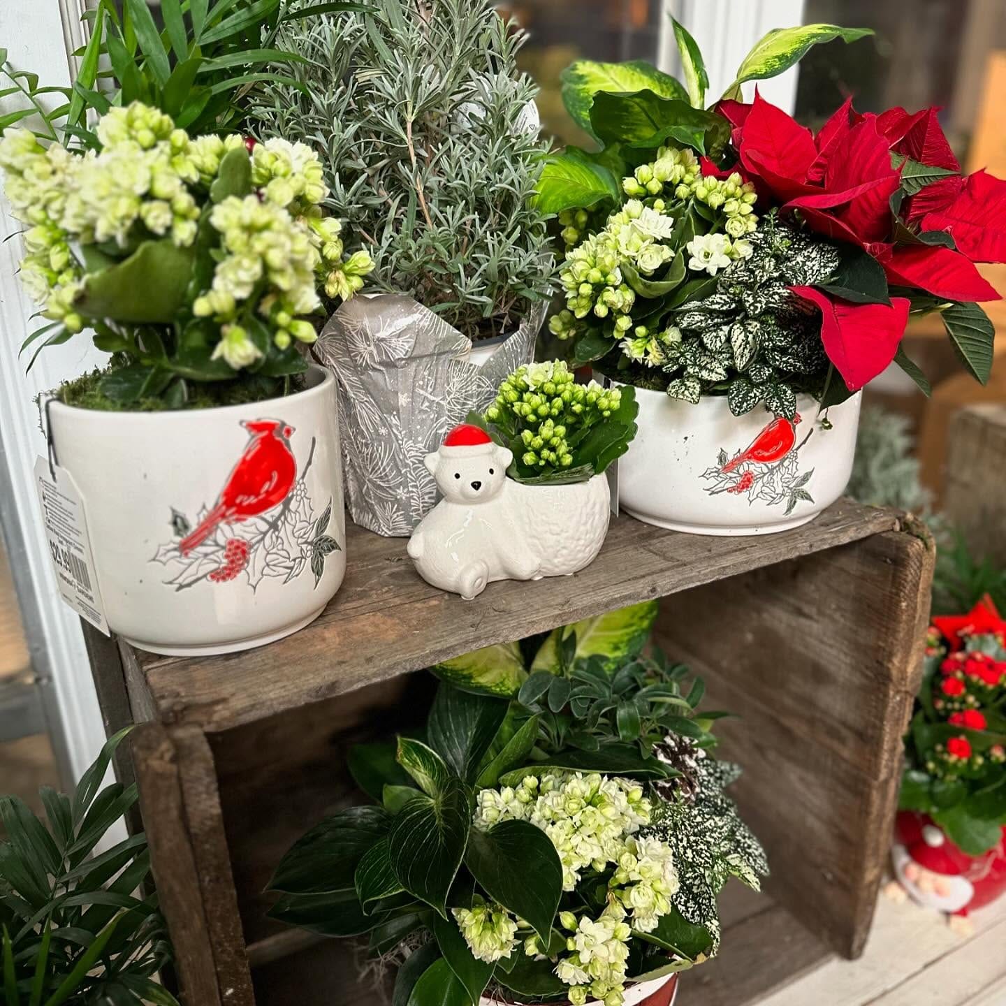 Rotating seasonal plants on a stylish console table