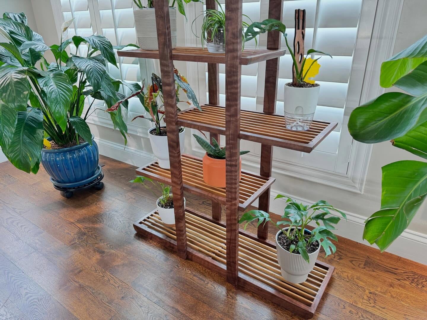 Creative wooden crate plant ladder with diverse plants