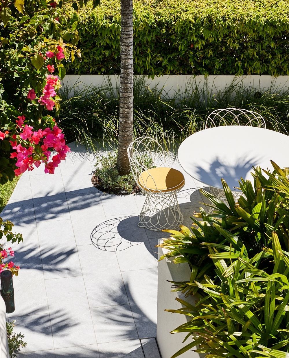 Bamboo palm and trailing pothos