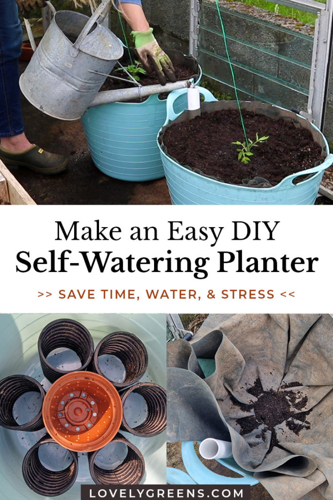 Self-Watering Pots: The Smart Way to Keep Your Plants Thriving - Plant ...