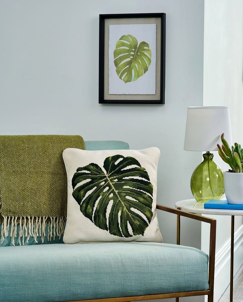 cloth wiping monstera leaf