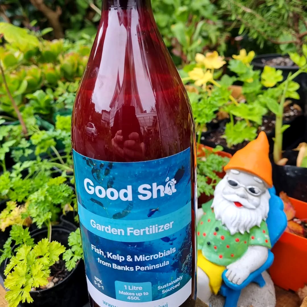 bottle of liquid fertilizer next to pothos