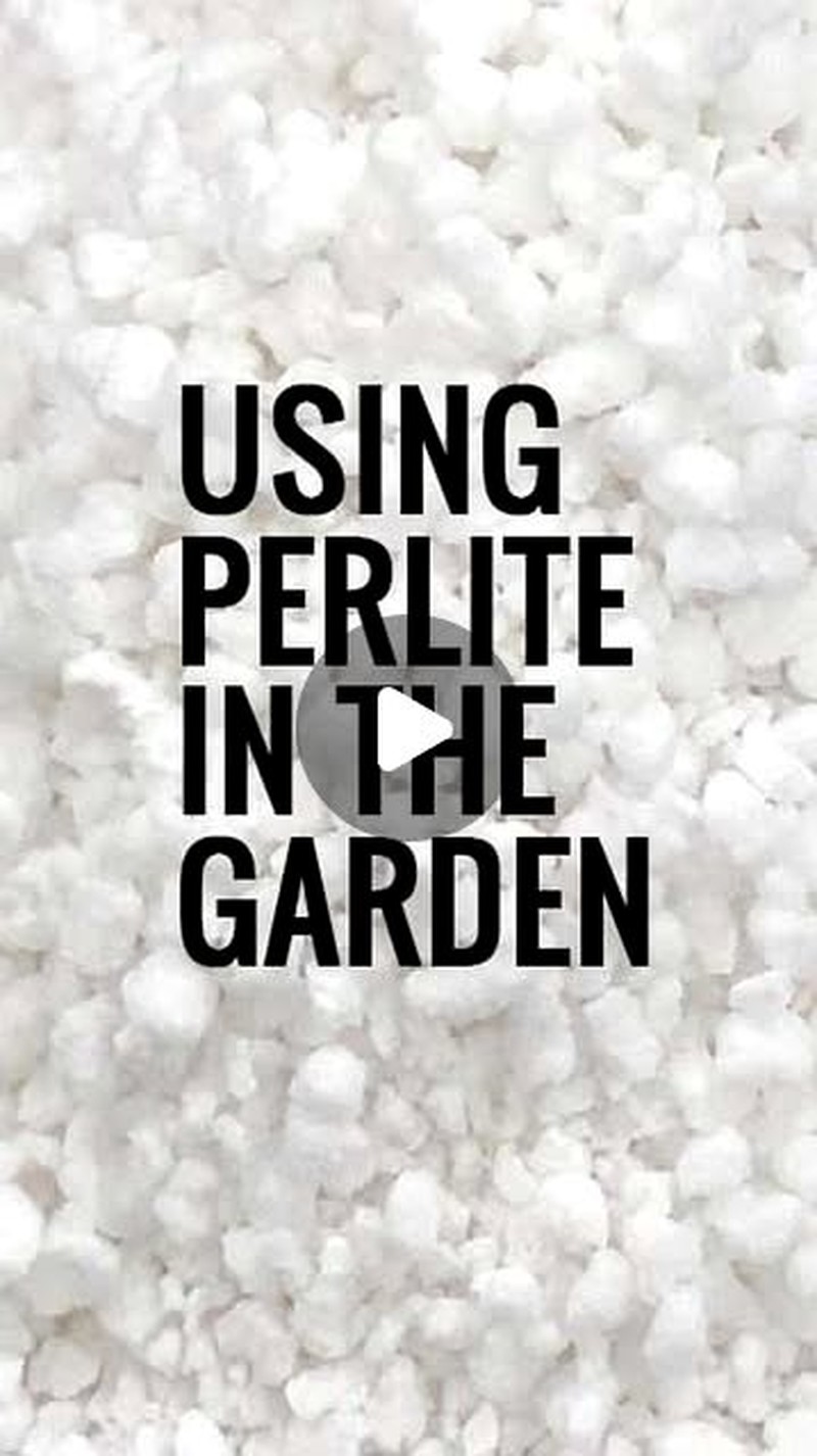potting mix in a bag