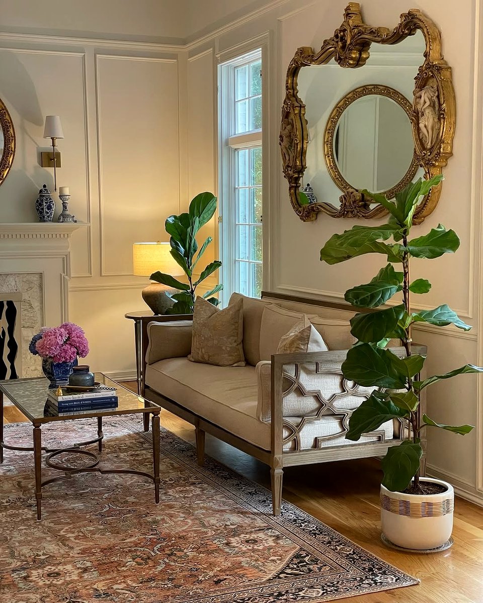 humidifier near Fiddle Leaf Fig